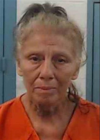 Mugshot of ROSARIO POSADA