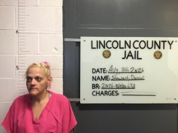 Mugshot of DONNELLE MARIE STEWART