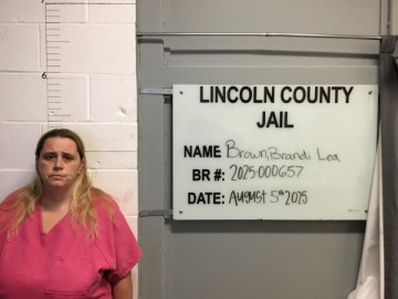 Mugshot of BRANDI LEA BROWN