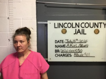 Mugshot of NANCY AKINS