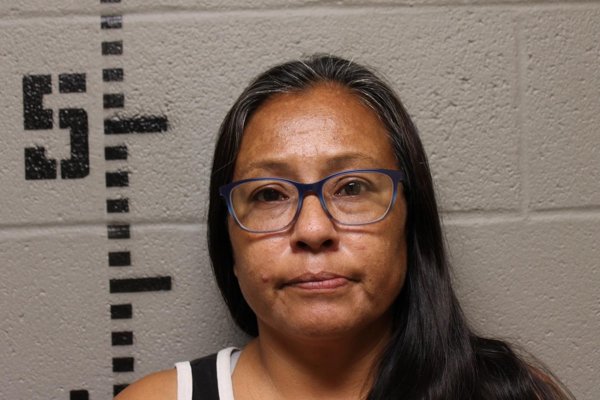 Mugshot of JANET LYNN JOHNSON
