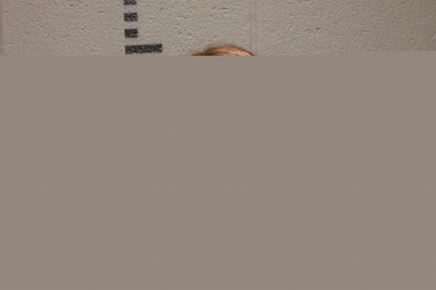 Mugshot of JESSICA LYNN WORNICK