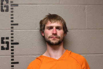 Mugshot of ROBERT NEASE