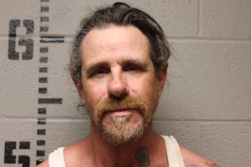 Mugshot of DAVID LYNN FREE
