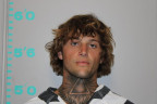 Mugshot of TATE DALTON TIPTON