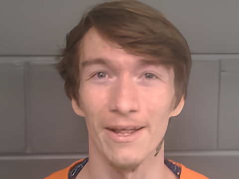 Mugshot of BRANDON MICHAEL PURCELL
