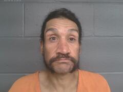 Mugshot of ROBERT CHESTON ARNEECHER