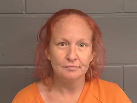Mugshot of KIMBERLY MARIE COBB