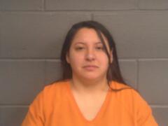 Mugshot of EMILY ELAINE STAPLETON