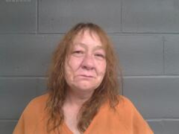 Mugshot of ROBBIN MARIE NELSON