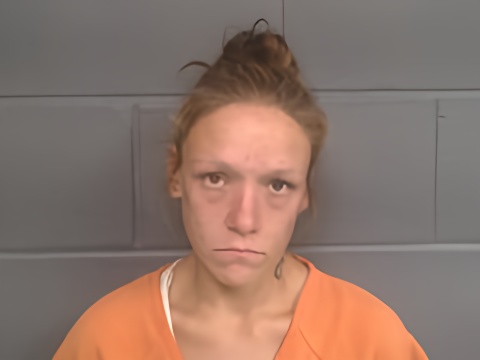 Mugshot of ASHLEE ELIZABETH CUMMINGS