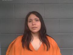Mugshot of DENISSA BROOKELLE HANSON
