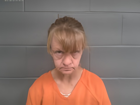Mugshot of DONNA HERRON