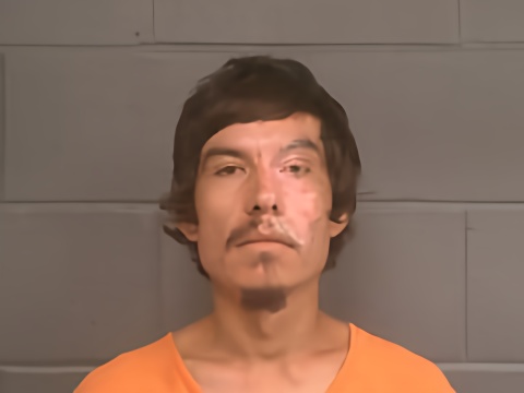 Mugshot of JUSTIN DANE WALLACE