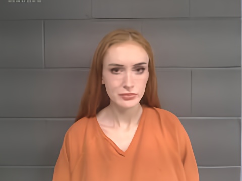 Mugshot of JOSIE LEE SANDERS