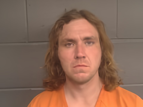 Mugshot of TYLER PAUL HARMON