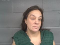 Mugshot of BLYTHE ELIZABETH HOLLON