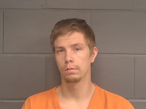 Mugshot of MITCHELL LEFATE MOLES