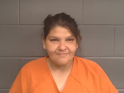 Mugshot of SOFIA CARNES