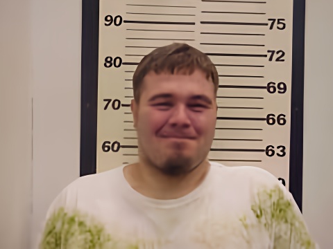 Mugshot of GERALD LEE WICKHAM