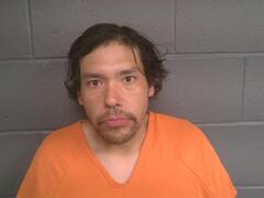 Mugshot of CASSION ELLIS MCCLAIN