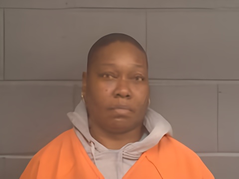 Mugshot of TELICIA BRANDY WILLIAMS