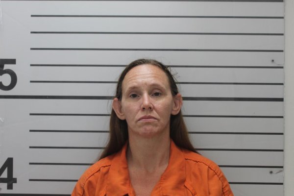 Mugshot of MELANIE SUE DAVIS