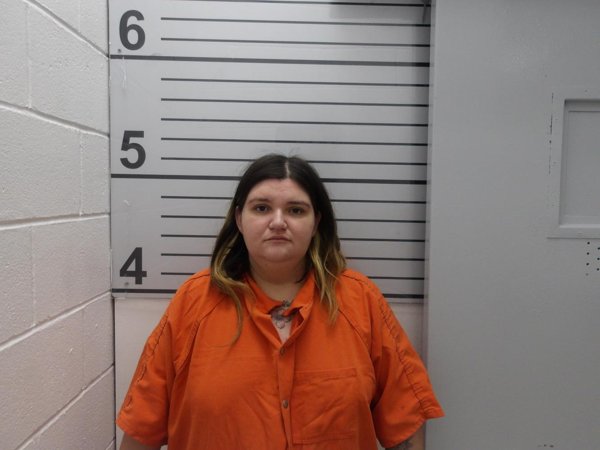 Mugshot of EMILY RAMIREZ
