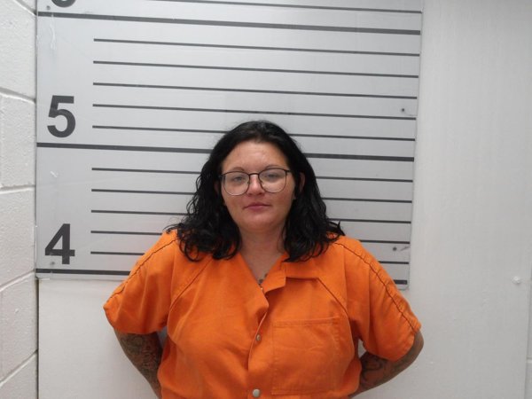 Mugshot of MIKA HUDSON