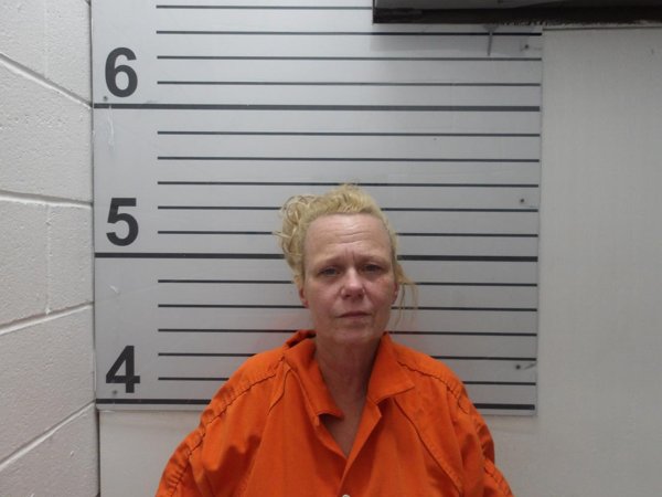 Mugshot of HEATHER FITZGERALD