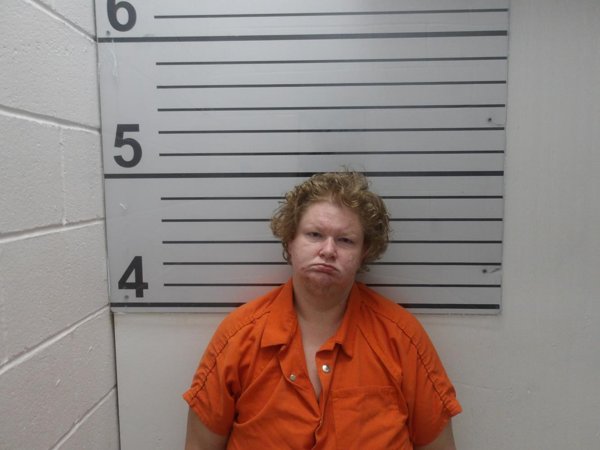 Mugshot of AMBER DARLENE HARLIN