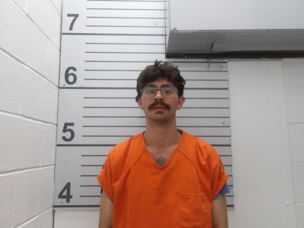 Mugshot of JESSE JAMES WALKER