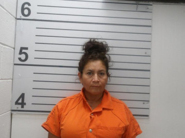 Mugshot of JEANIE DAWN ORIOLO