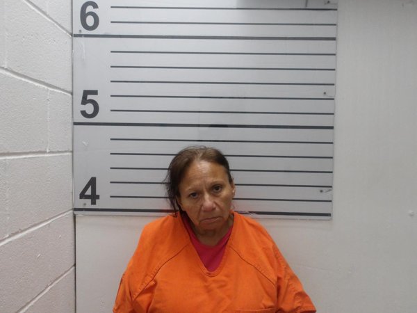 Mugshot of TONYA LEIGH YOUNG