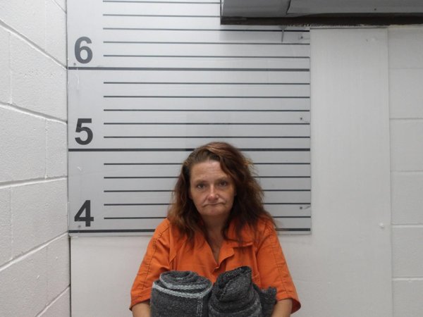 Mugshot of CINDY ELIZABETH SALAS