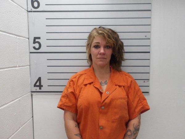 Mugshot of JESI LYNN LIVINGSTON