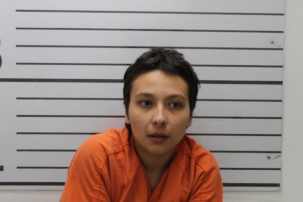 Mugshot of CHEYENNE NYCOLE BUSBY