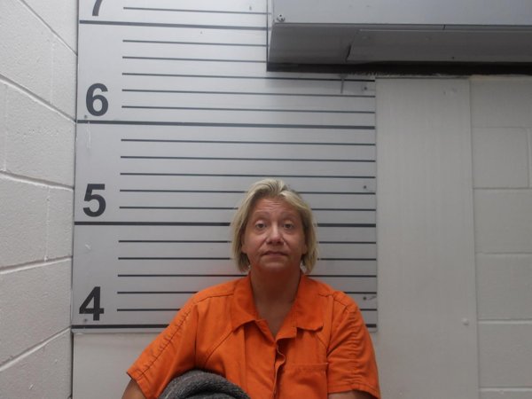 Mugshot of AMY LYN LONG