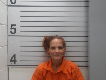 Mugshot of HEATHER LEDFORTH