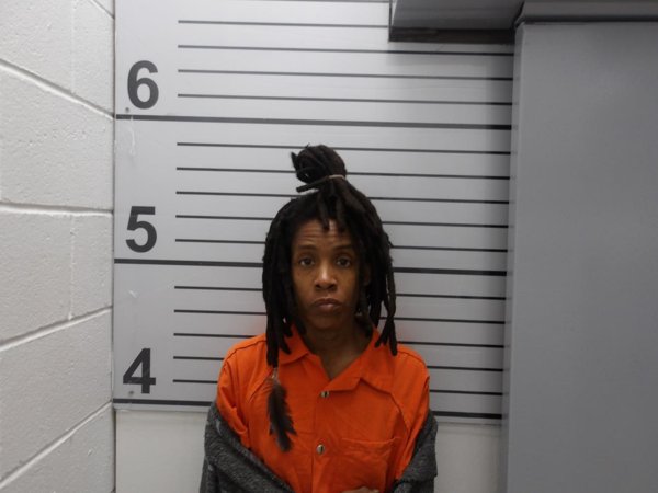 Mugshot of DENISE NICOLE BROWN-SHINAULT