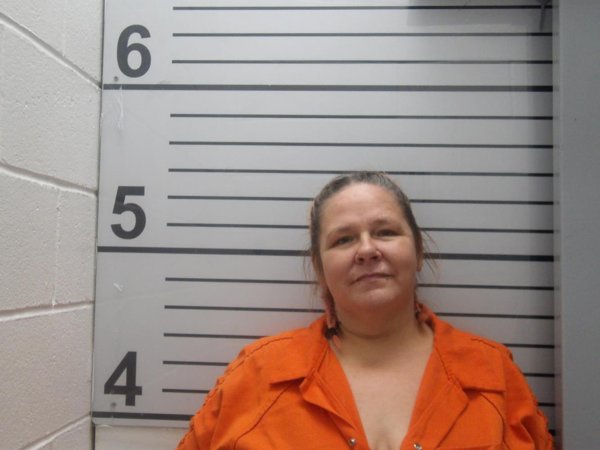Mugshot of SARAH NICOLE WEBSTER
