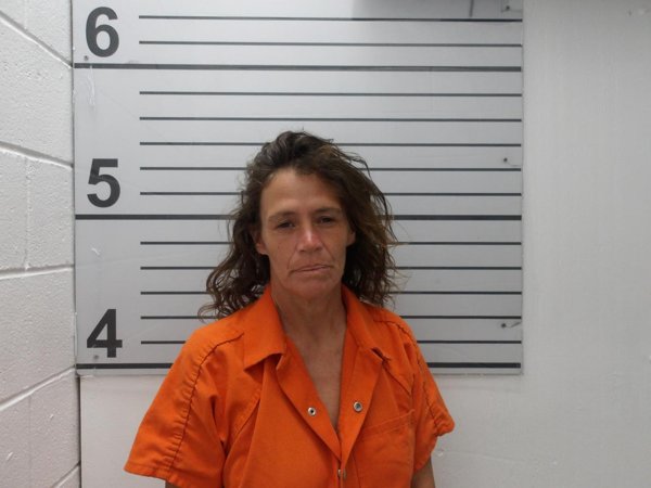 Mugshot of MELANIE DEE GRANT