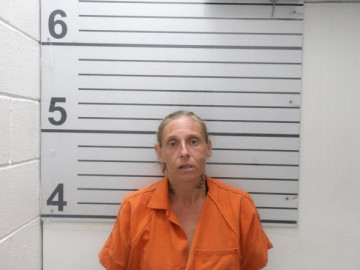 Mugshot of CHRISTINE LEE HALL