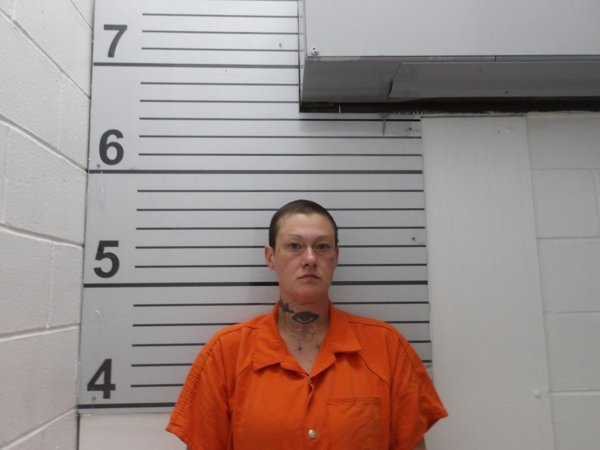 Mugshot of HAILEY MARIE ADDISON