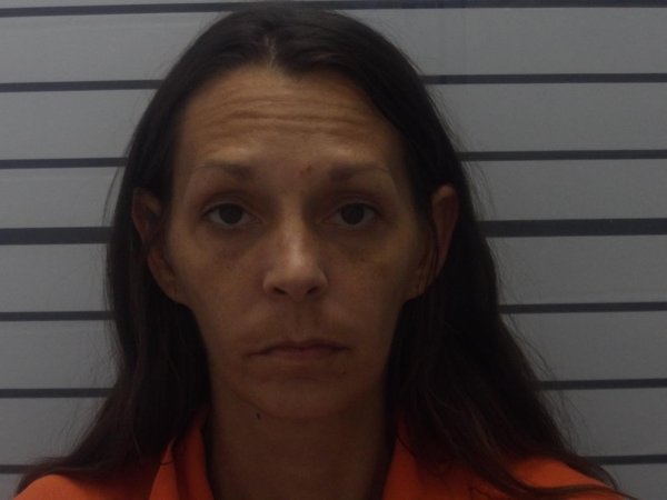 Mugshot of ERICA JEAN FRENCH