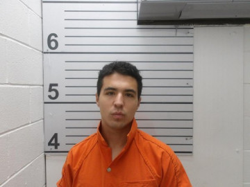 Mugshot of GEORGE WILLIAM HORTON