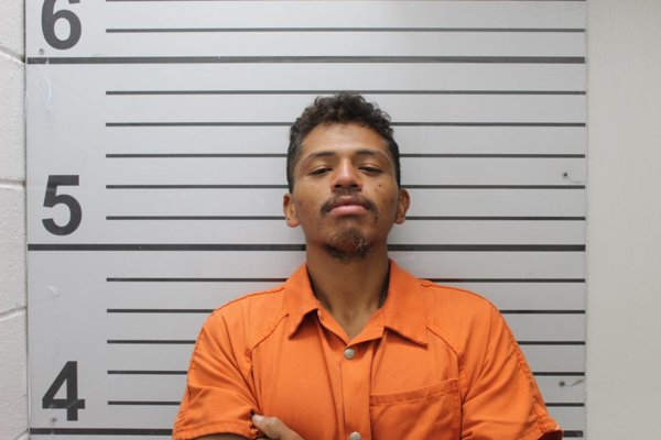 Mugshot of JASON HENEHA