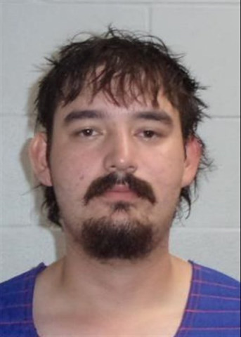Mugshot of JEFFERY DAVID WATKINS