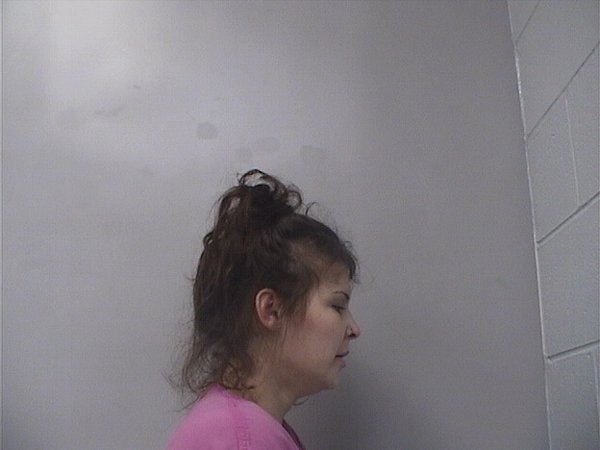 Mugshot of Wrylee Morrow