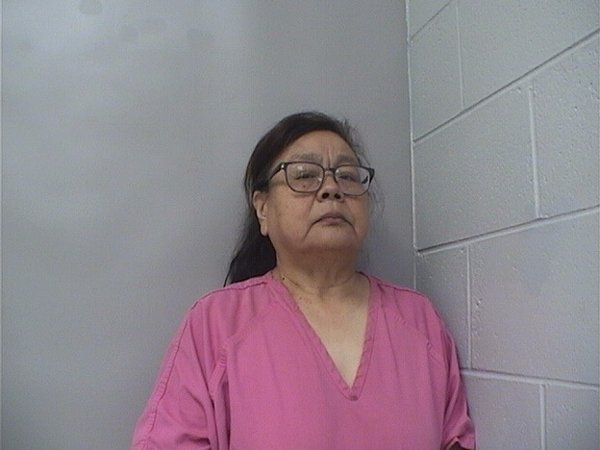 Mugshot of Dina Zhao